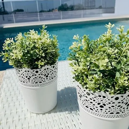 Beau Luxe Met Prive Zwembad 6 Pers Holiday home *